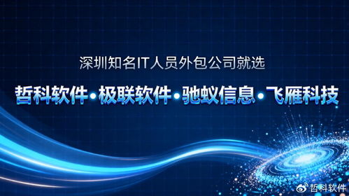 深圳知名IT人員外包公司為何能持續領跑市場